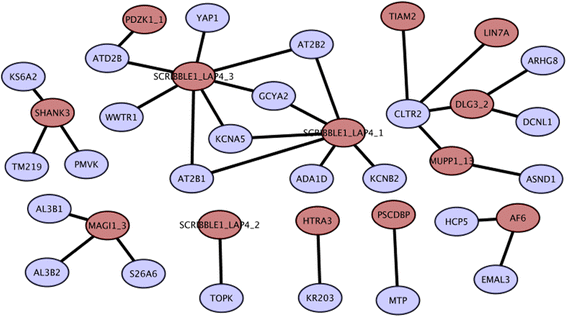 Fig. 6