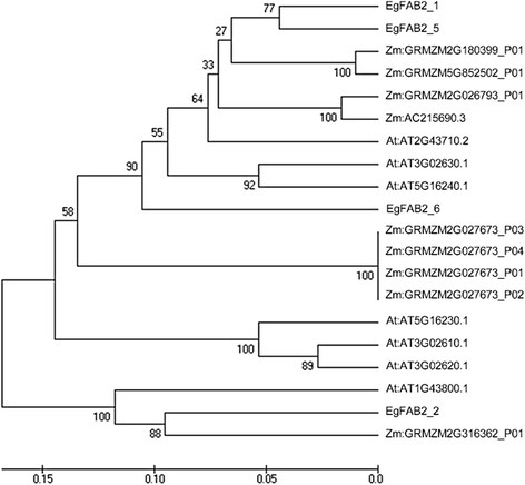 Fig. 10