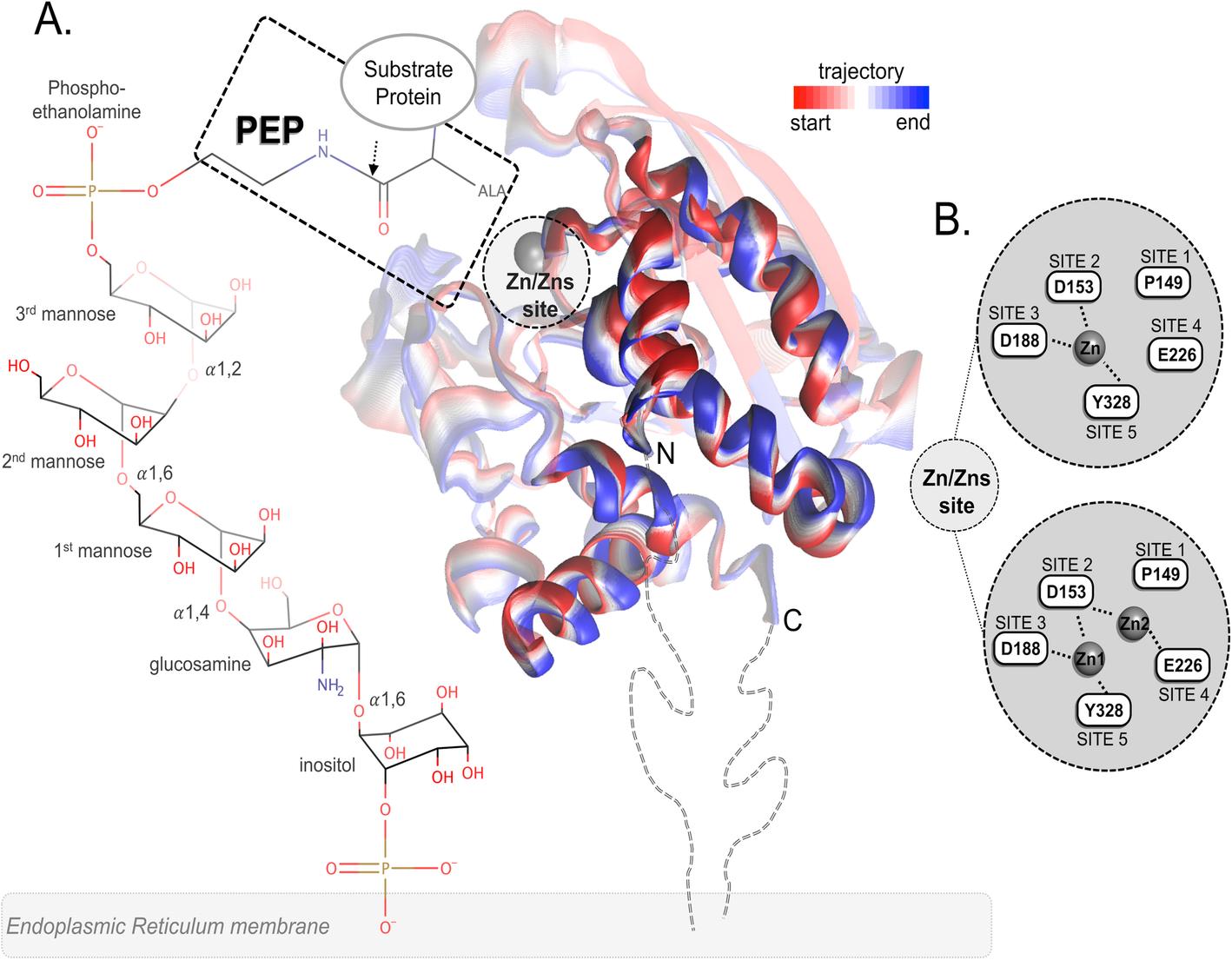 Fig. 1