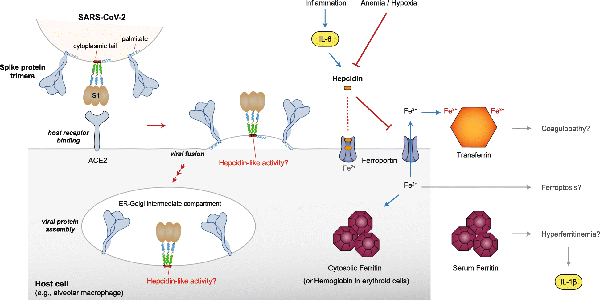 Fig. 3