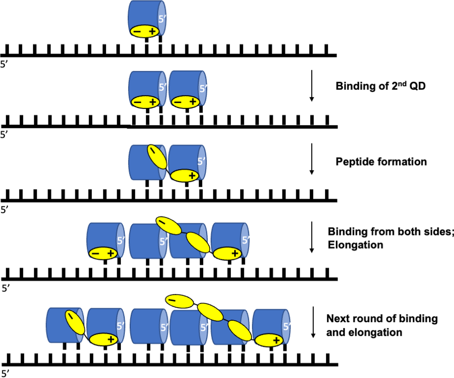 Fig. 9