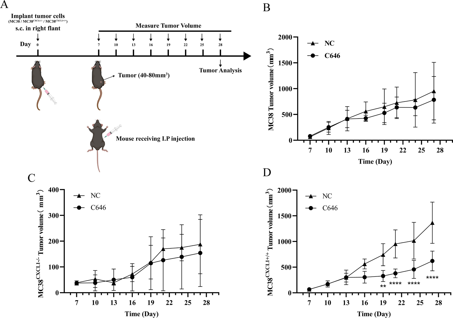 Fig. 11