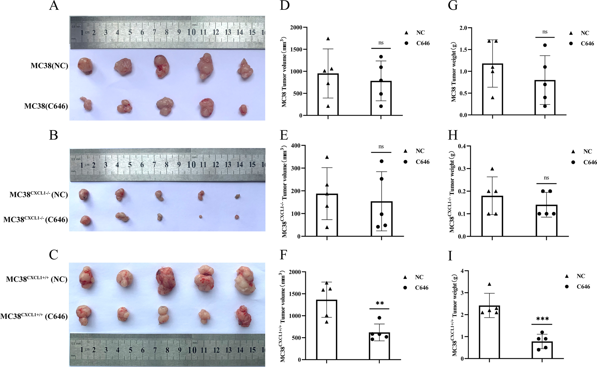 Fig. 12