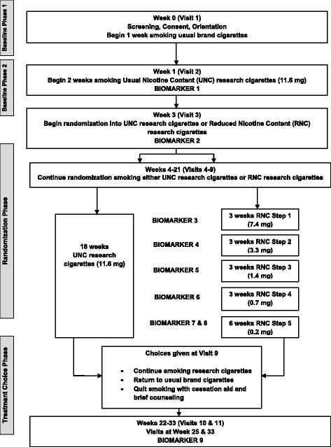 reduced nicotine content cigarettes in smokers of low socioeconomic