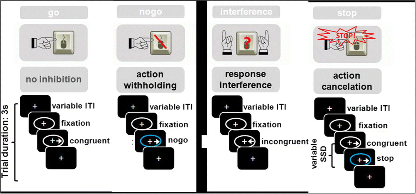 mechanisms and modulators of