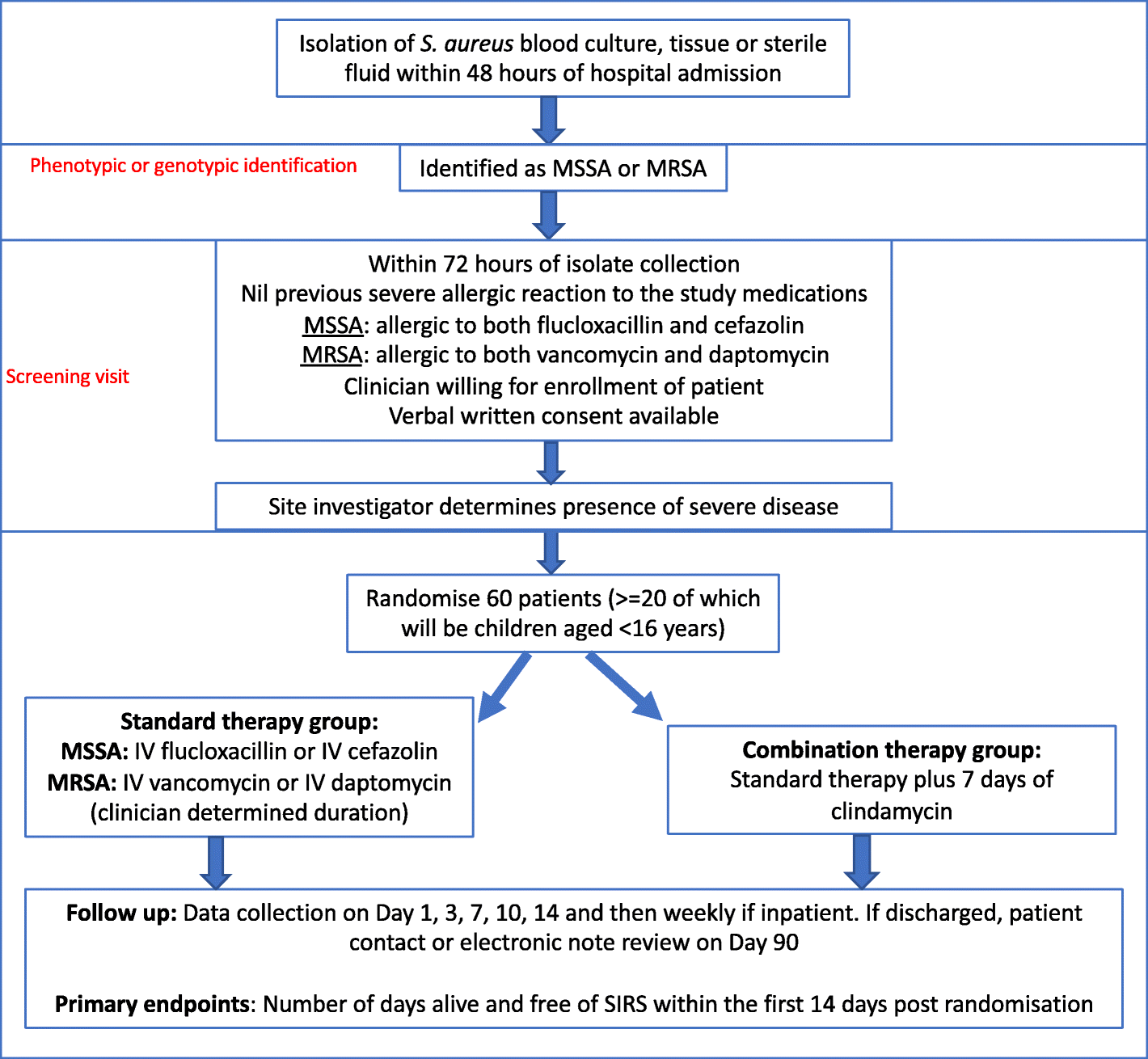 Staph Flow Chart