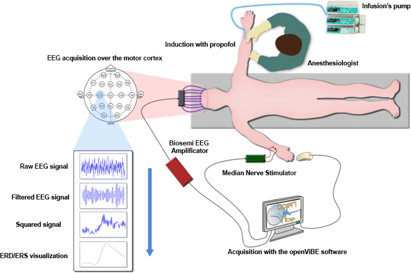 Fig. 1