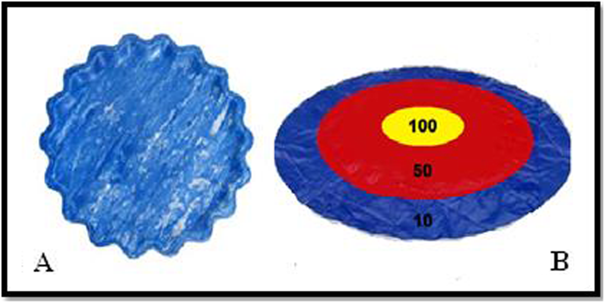 Fig. 2