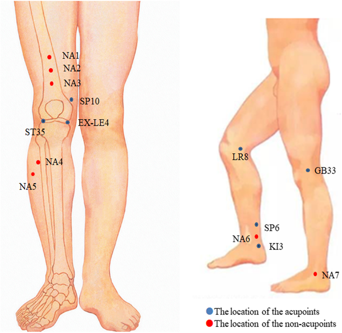 Fig. 3