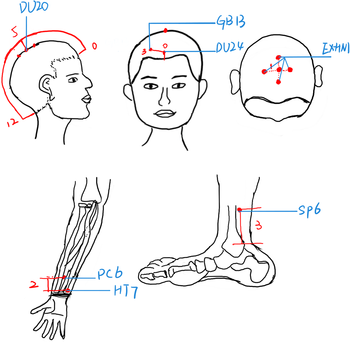 Fig. 2