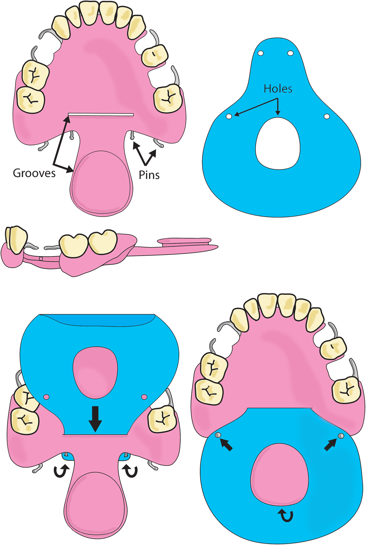 Fig. 1