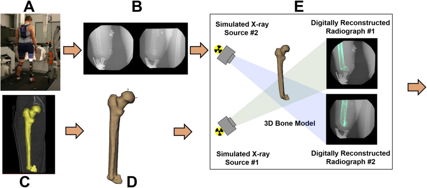 Fig. 10