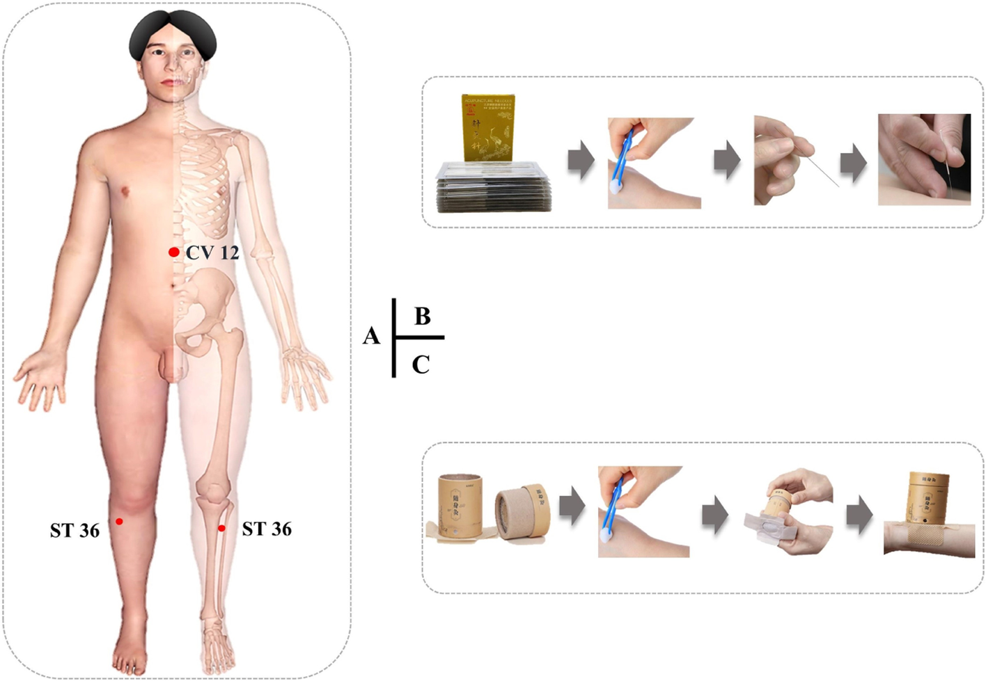 Fig. 2