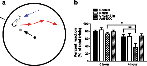 Fig. 13