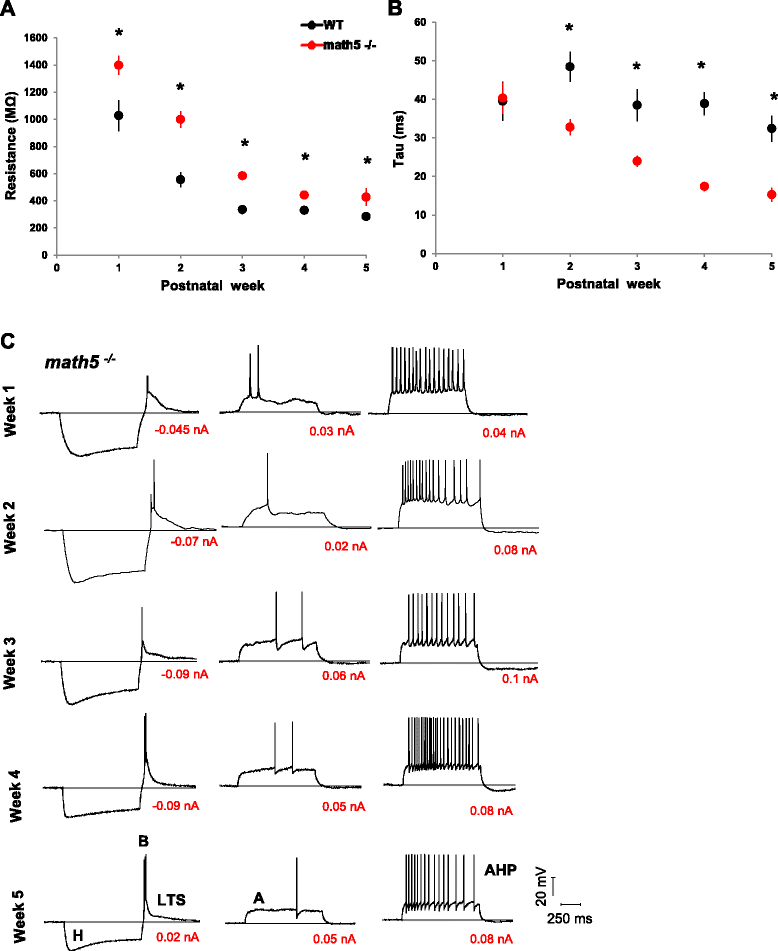 Fig. 9