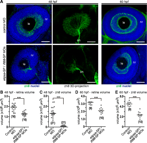 Fig. 9