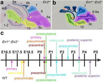 Fig. 6