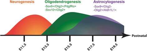 Fig. 8