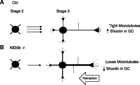 Fig. 10