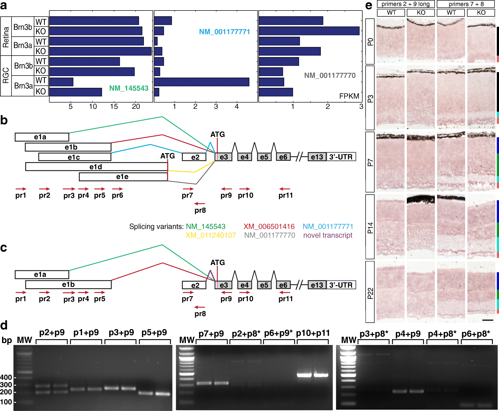 Fig. 15