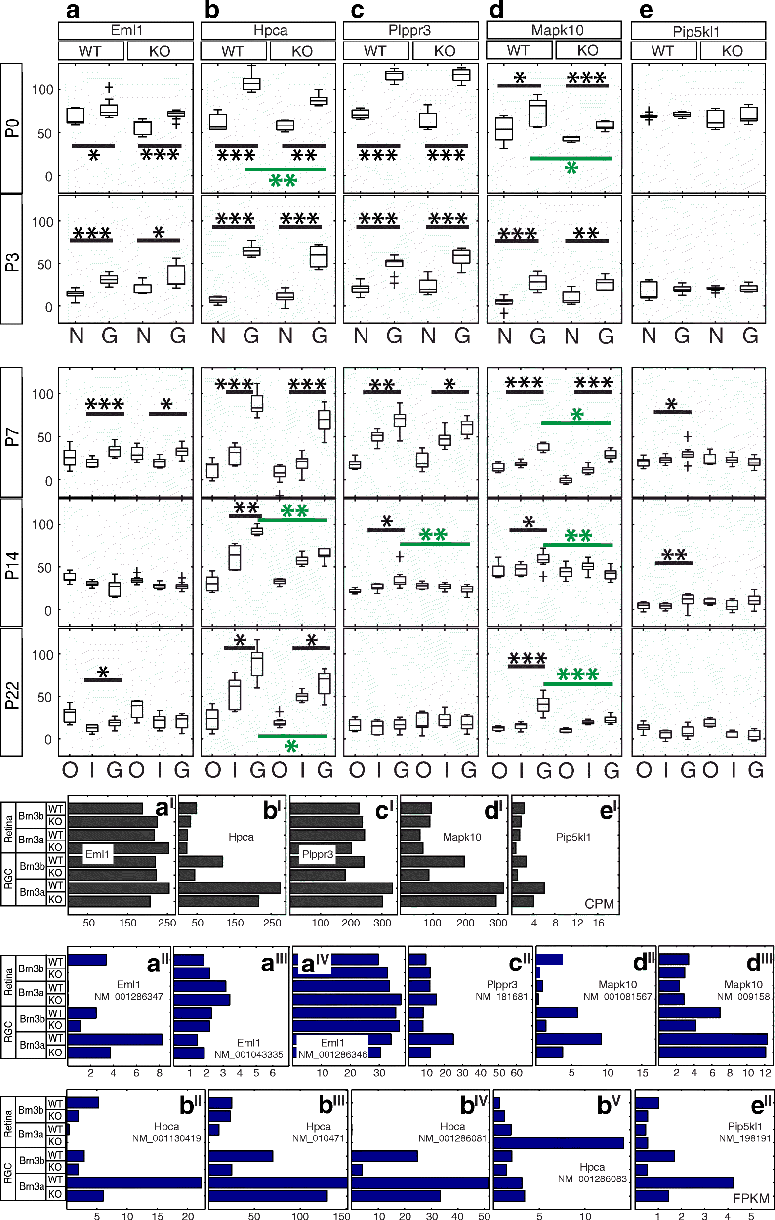 Fig. 5