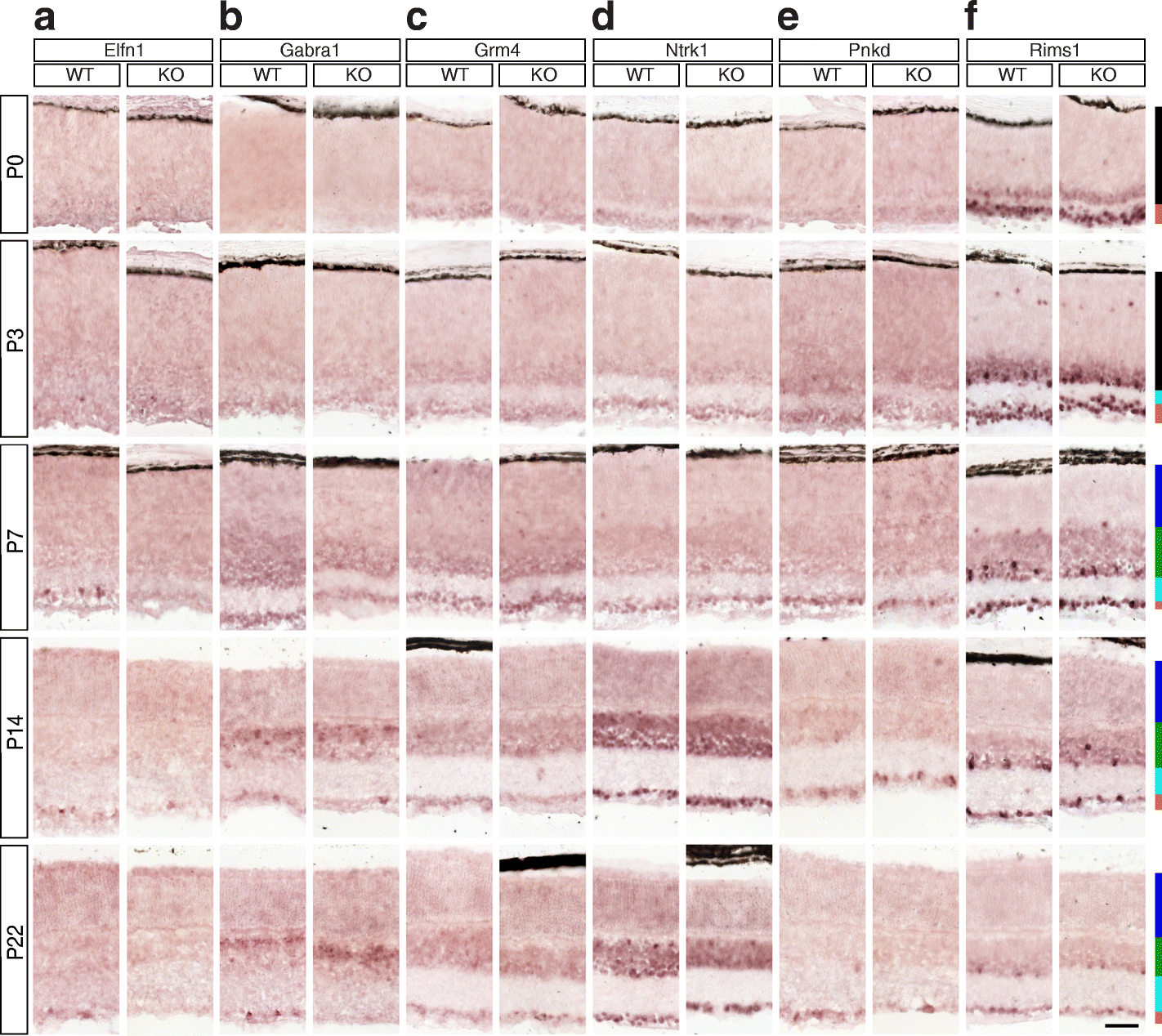 Fig. 8