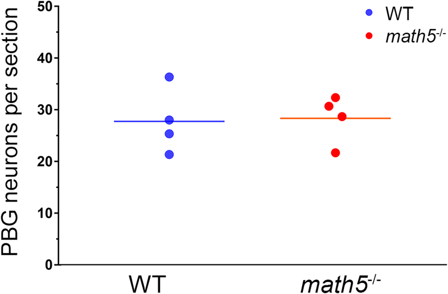 Fig. 9