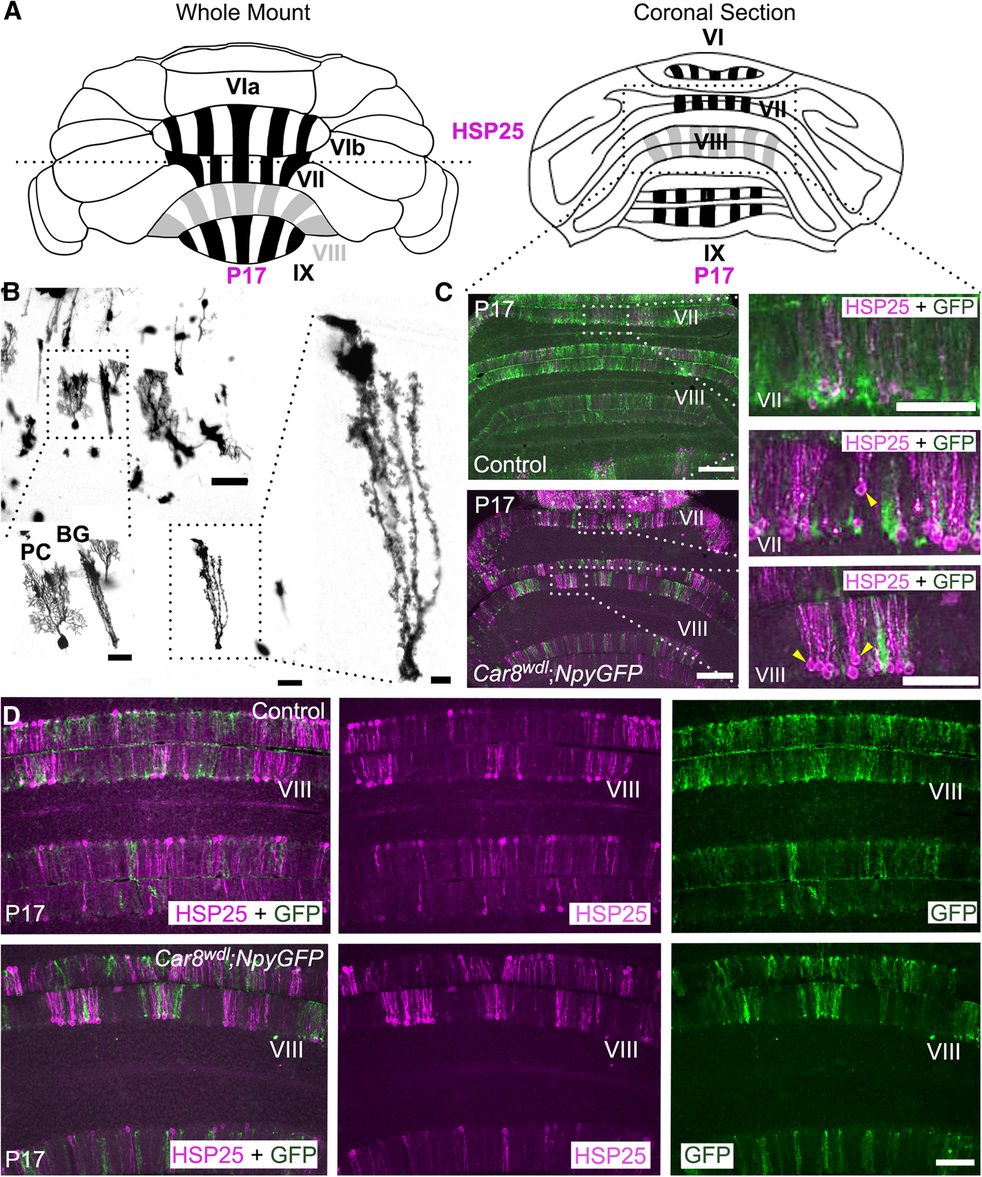 Fig. 9