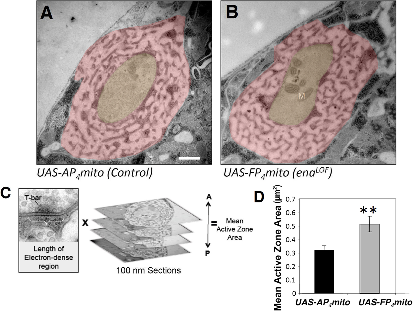 Fig. 4