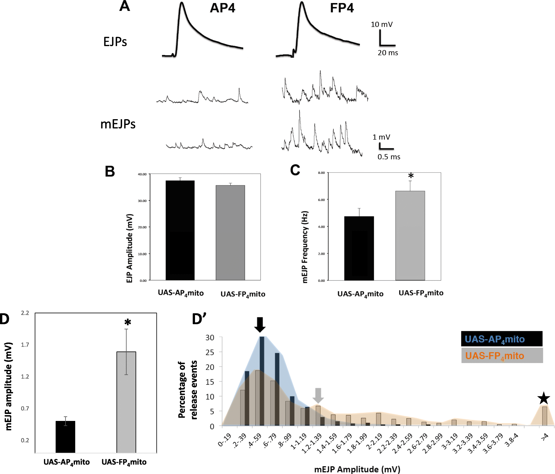 Fig. 5