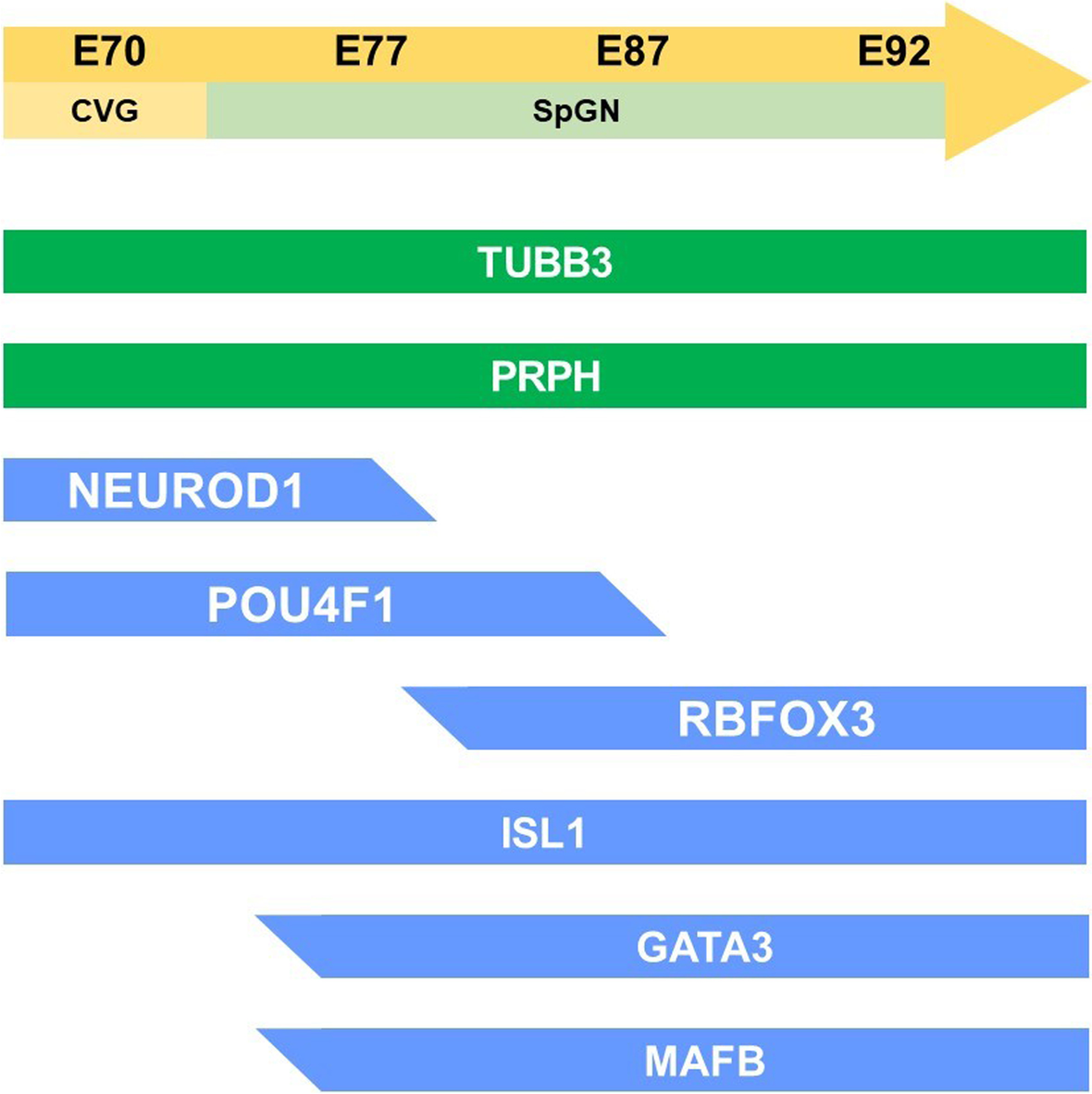 Fig. 11