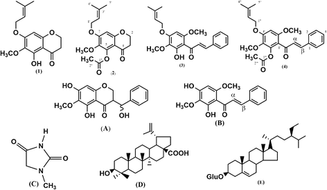 Fig. 5