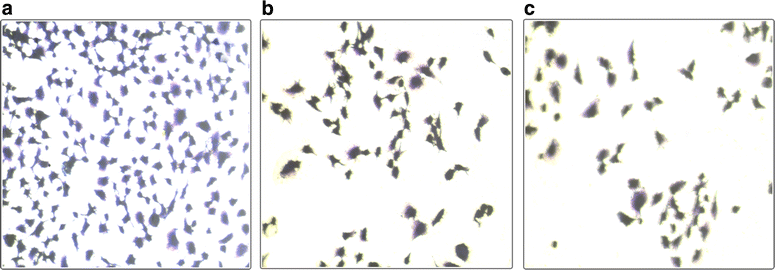 Fig. 8