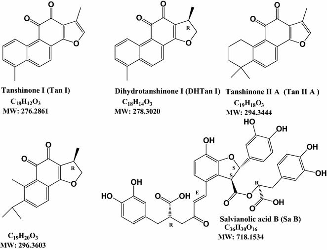 Fig. 1