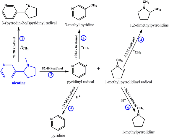 Scheme 1