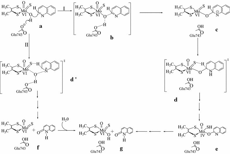 Scheme 1