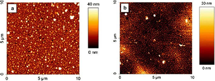 Fig. 10