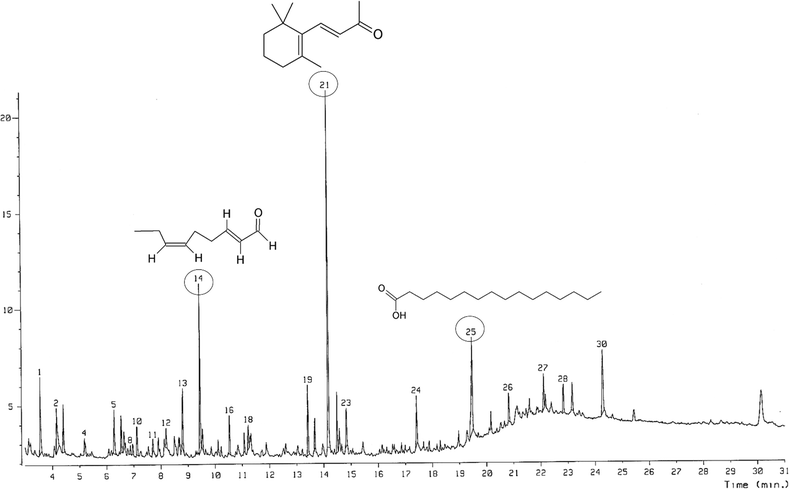 Fig. 1