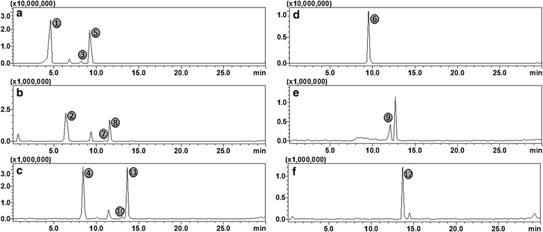 Fig. 1