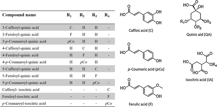 Scheme 1