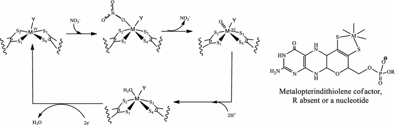 Fig. 2