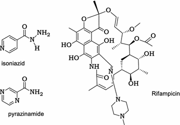 Fig. 1