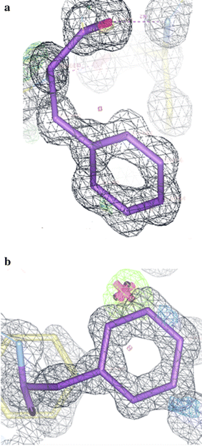 Fig. 28