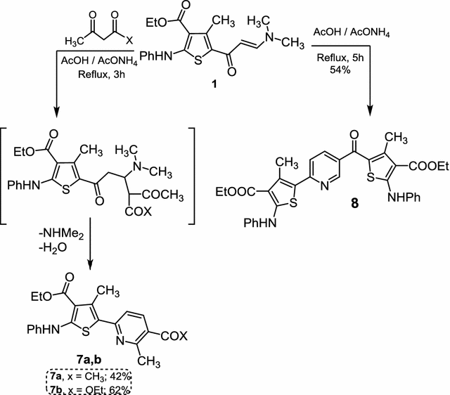 Scheme 4