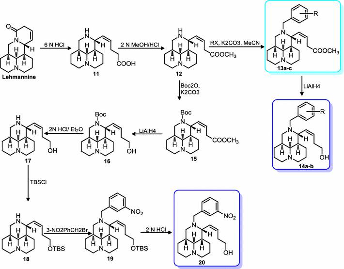 Scheme 2