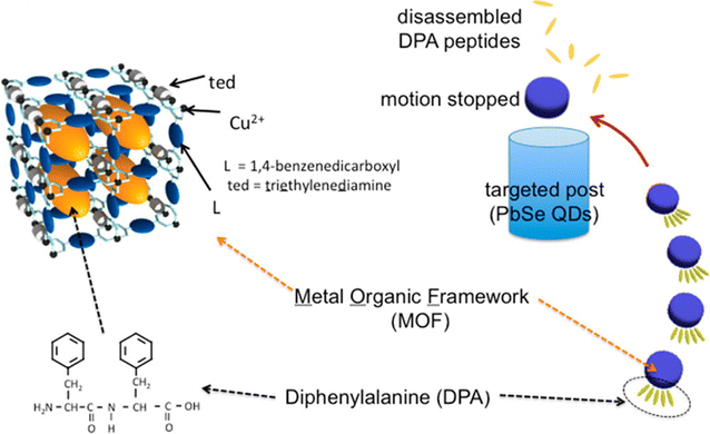 Fig. 9