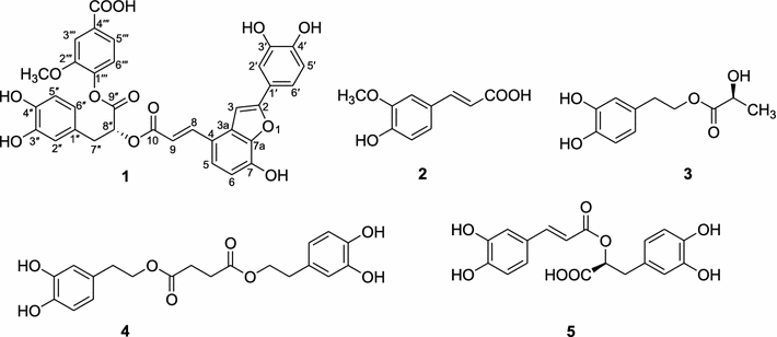 Fig. 1