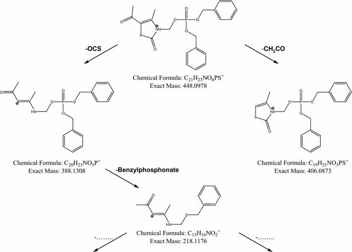 Fig. 5