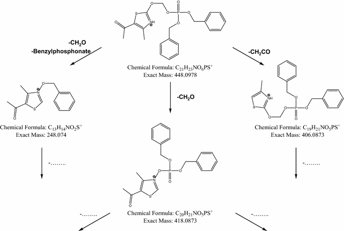 Fig. 6