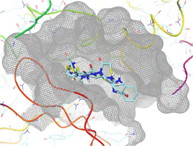 Fig. 1